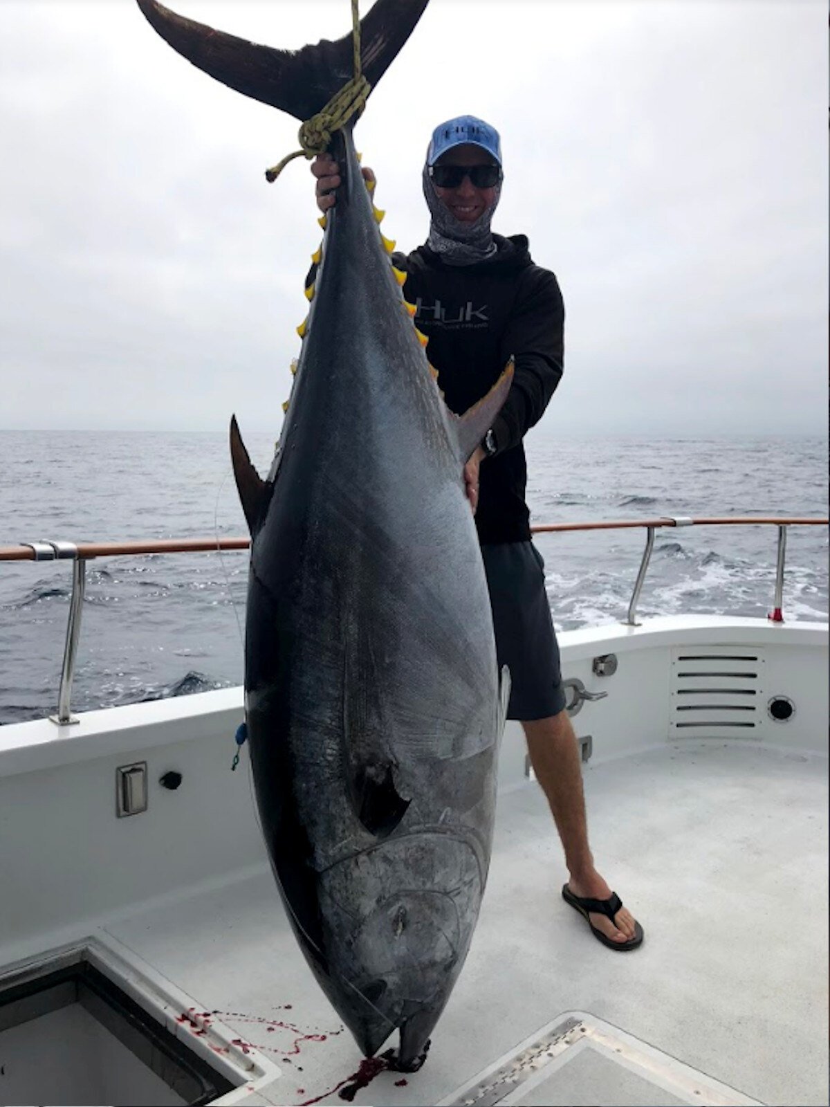 Blue Fin Tuna