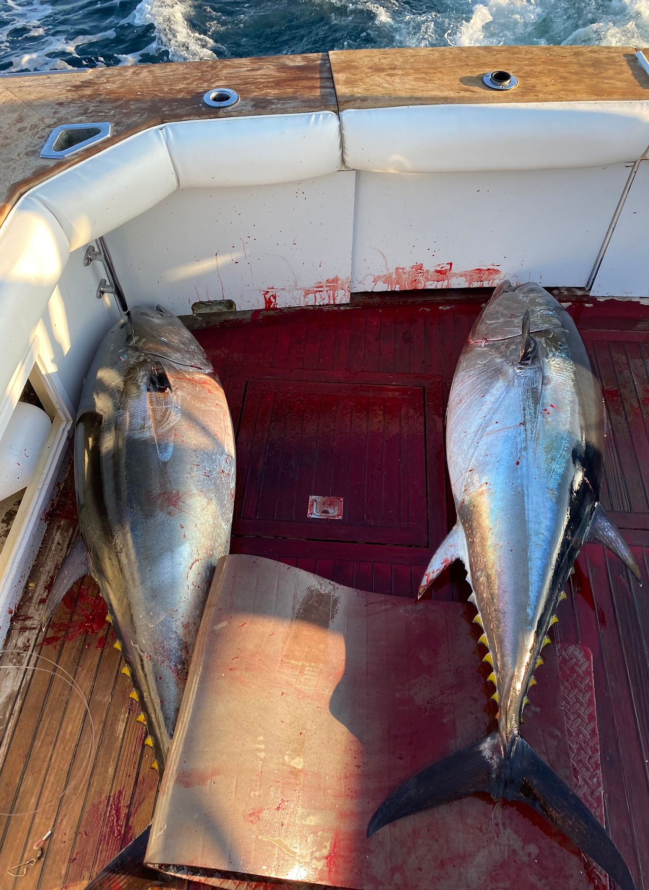 2 for 1 tuna special